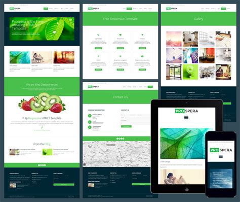 Responsive Website Templates