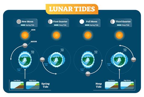 Tides Science