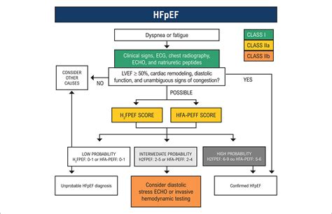 Diagnosis of Heart Failure with Preserved Heart Failure in the Office Setting: How to Assemble ...