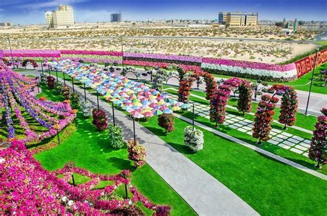 Dubai Miracle Garden, Slice of Heaven on Deserts - Traveldigg.com