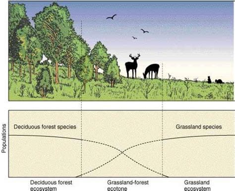 Ecotone: Edge Effect, Edge Species and Ecological Niche - PMF IAS