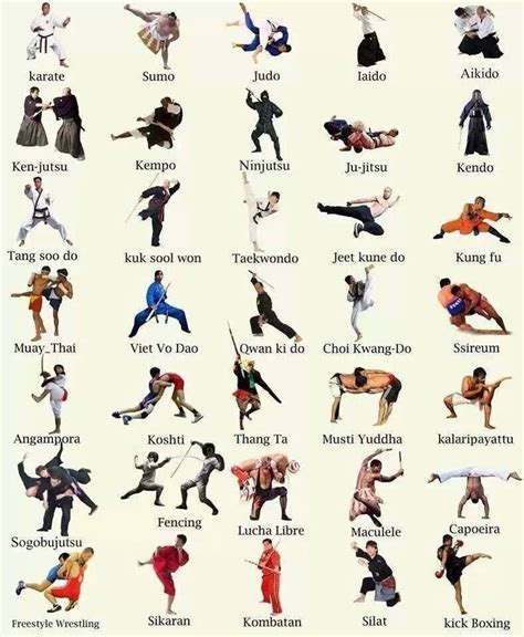 Types of Martial Arts – World Class Tae Kwon Do