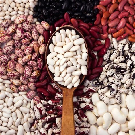 17 Popular Types of Beans (+ How to Use Them) - Insanely Good