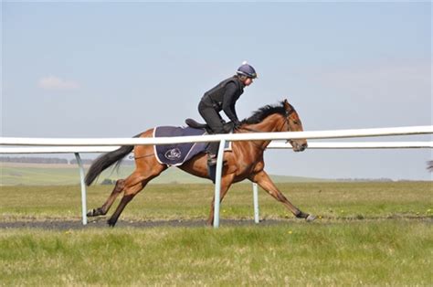 Welcome to Ed Walker Racing | Upper Lambourn