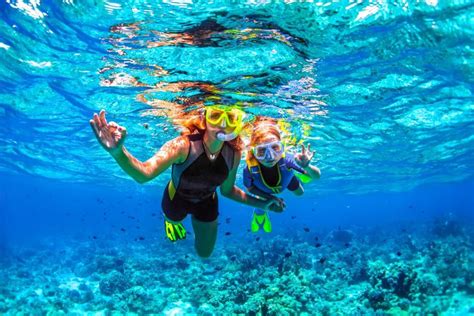 The 18 Best Snorkeling Spots In The Bahamas | Sandals