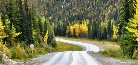 Fall Colors Alaska & the Canadian Rockies - John Hall's Alaska