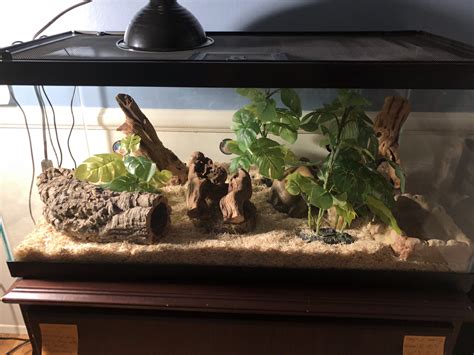 Pin by Clara Lua Vargas Guerra on tiraruru | Snake enclosure, Snake terrarium, Snake cages