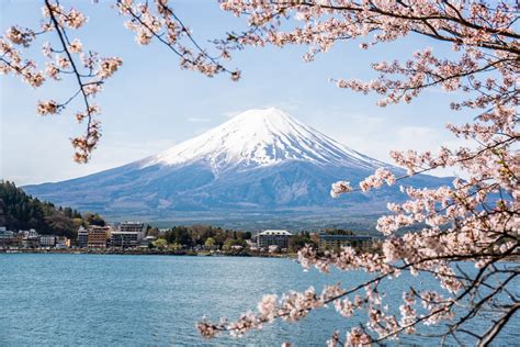 Mount Fuji, Hakone, Lake Ashi, and More Tour from Tokyo - Tourist Journey