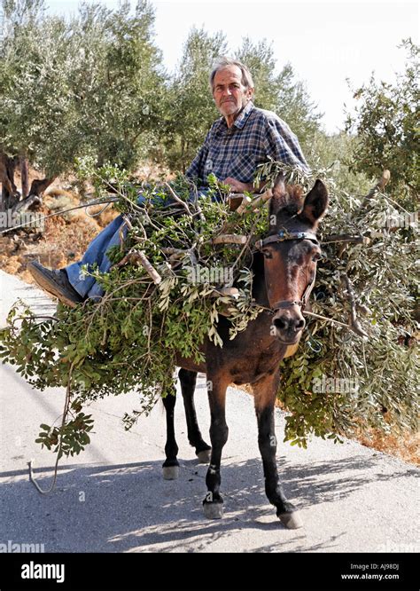 Greek Farmer On Donkey Samothraki Greek Islands Greece Hellas Stock Photo - Alamy