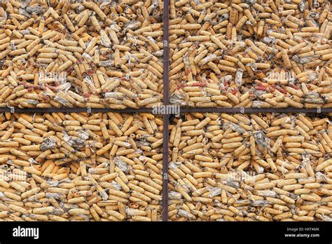 Corn storage hi-res stock photography and images - Alamy