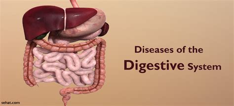 6 Most Common Diseases of the Digestive System List