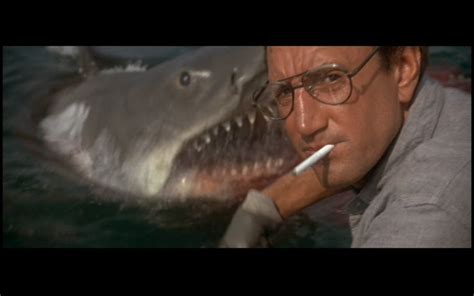 Jaws Brody Hooper Amp Quotes. QuotesGram