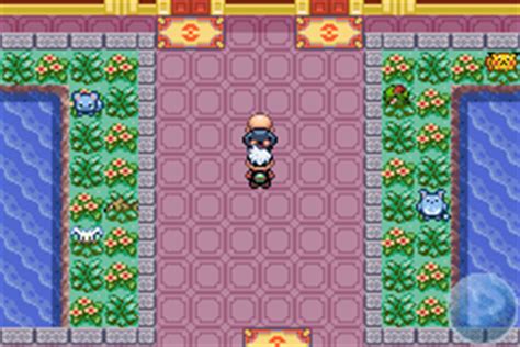 Pokemon Emerald :: The Battle Frontier