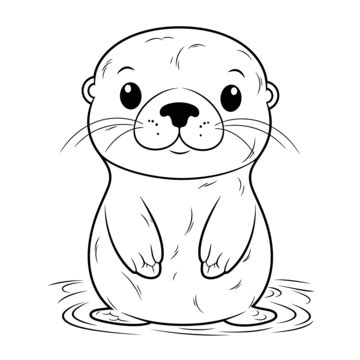 Sea Otter Drawing PNG Transparent Images Free Download | Vector Files | Pngtree