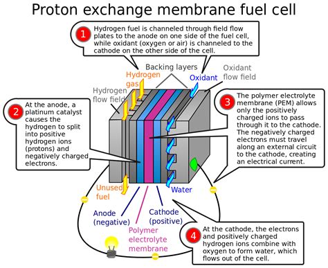 proton exchange membrane fuel cell ~ Electrical Engineering Pics