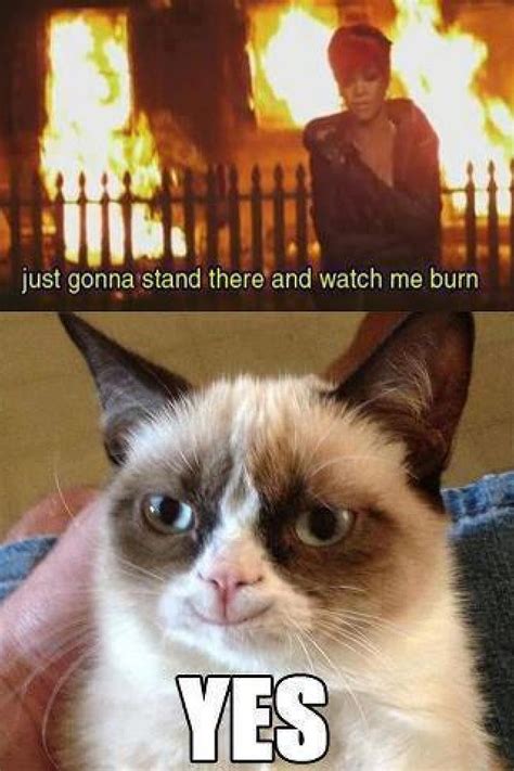 Happy Grumpy Cat Meme