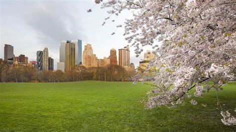 Central Park Spring Wallpapers - Wallpaper Cave