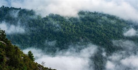 Explore Wayanad's Best Hiking Trails in the Cool Months