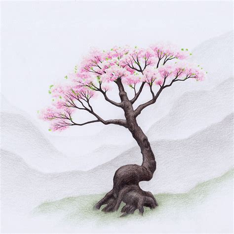 Red Cherry Blossom Tree Drawing