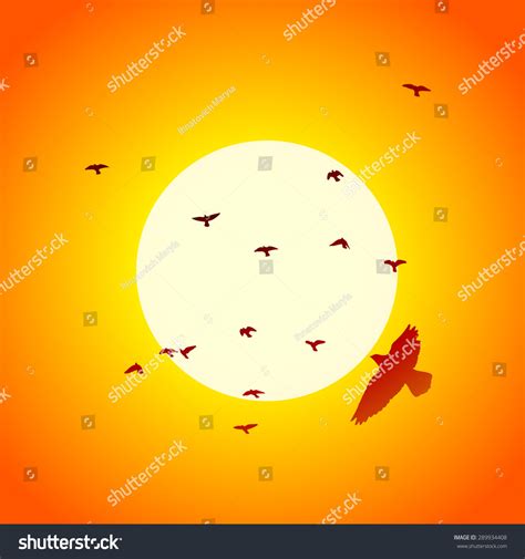 Silhouette Bird Sunset Vector Stock Vector (Royalty Free) 289934408 | Shutterstock