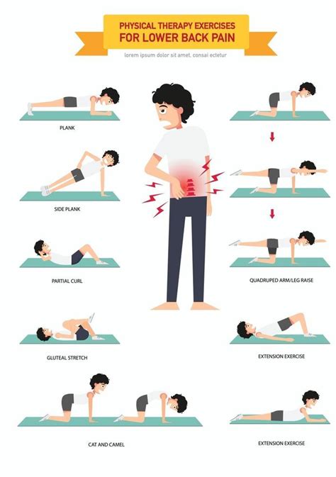 Physical therapy exercises for lower back pain infographic 3239831 Vector Art at Vecteezy