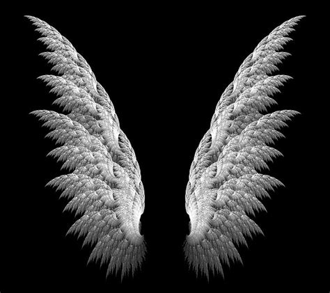 Black And White Angel Wallpaper