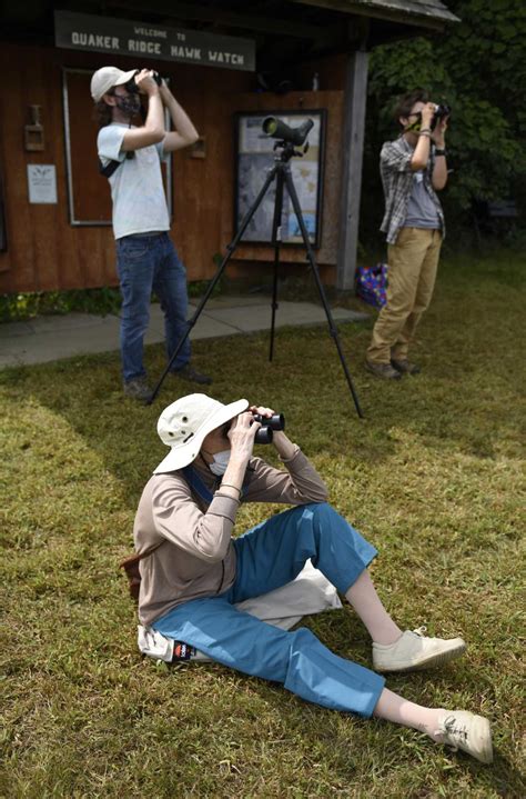 Hawk migration numbers to soar at Greenwich Audubon this fall