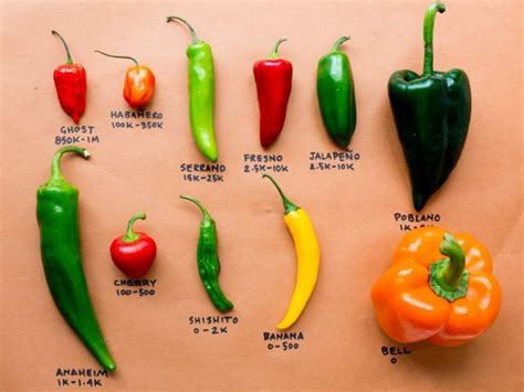 From the Competition to Your Kitchen: Chile Pepper Cheat Sheet ...