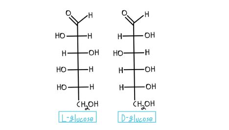 draw the fischer projection for l-glucose - kimkruger