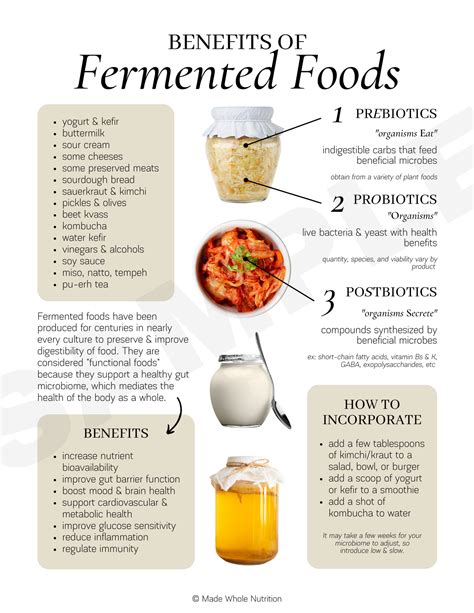 Benefits of Fermented Foods Handout — Functional Health Research + Resources — Made Whole Nutrition