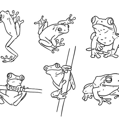 Frog Line Drawing at PaintingValley.com | Explore collection of Frog ...