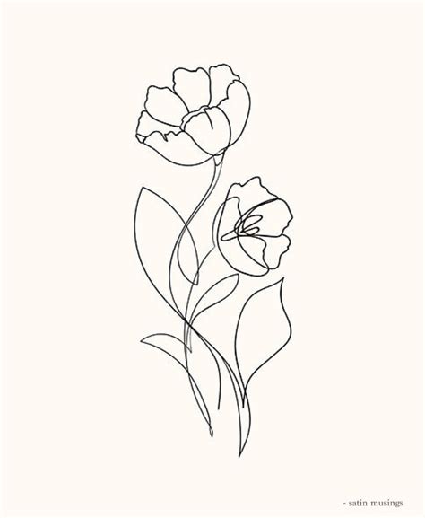 flower line art drawing - Samual Whelan