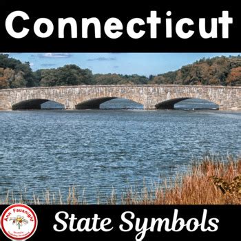 Connecticut State Symbols Booklet by Ann Fausnight | TPT