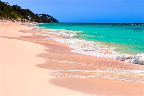 Why Are Bermuda Beaches Pink | YMT Vacations