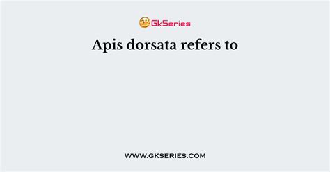 Apis dorsata refers to