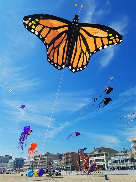 Giant Monarch Butterfly kite | Picture Pretty Kites