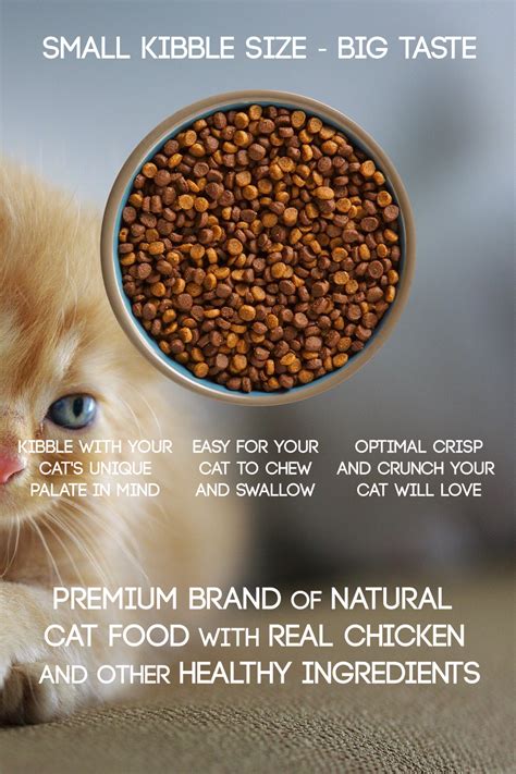 Healthy Cat Food For Allergies - Healthy Cat