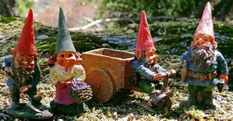 Fairy garden gnomes, Gnome garden, Gnomes