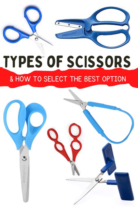 Types of Scissors and Why to Use Each Type - The OT Toolbox