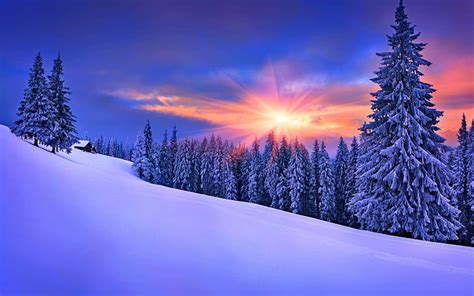 HD wallpaper: Late Winter Sunset, snow, trees, forest, landscape | Wallpaper Flare