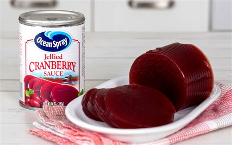 Ocean Spray Jellied Cranberry Sauce - SAUCE RANK