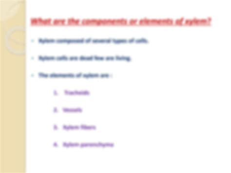 SOLUTION: VASCULAR TISSUES (XYLEM) IN PLANTS ITS COMPONENTS AND TRACHEIDS STRUCTURE &FUNCTIONS ...
