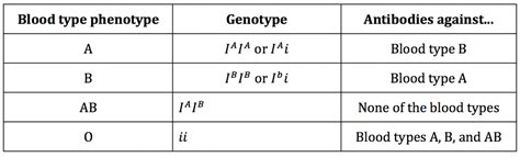 CC | An introduction to blood types: genotype, phenotype, inheritance, transfusion, and more!