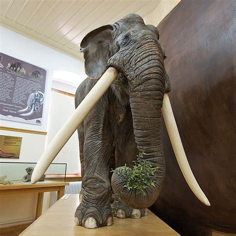 An Ancient Descendant: The Straight-Tusked Elephant | by Emma Silva | Elephant Listening Project ...