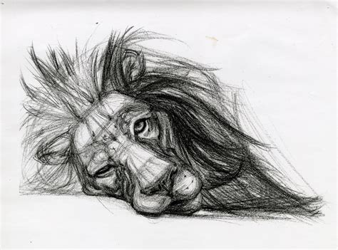 Animal Sketch Ideas at PaintingValley.com | Explore collection of ...