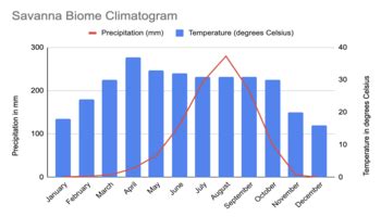 Savanna Biome Climate Graph