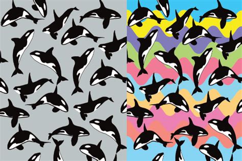 1 Orca Pattern Designs & Graphics