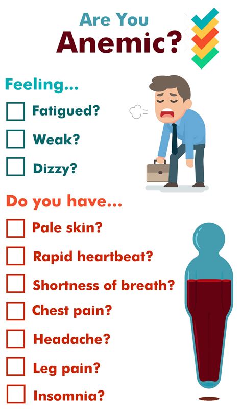 Types Of Anemia And Symptoms – NBKomputer