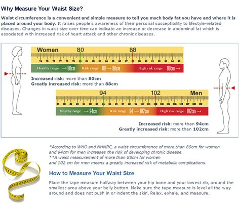 Ideal Waist Measurement