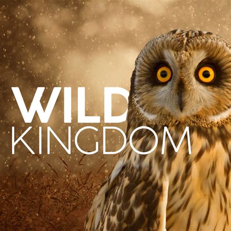 Watch Wild Kingdom on BBC Select